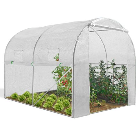Serra tunnel di giardinario 6m² bianco 4 stagioni ZEBRA 2x3M (1/5)