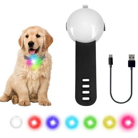 Collier Lumineux Chien LED Pendentif Lampe Chien led Rechargeable étanche 4 modes de changement de couleur réglable sur la laisse de collier pour la marche nocturne, la course, le camping, le cyclisme