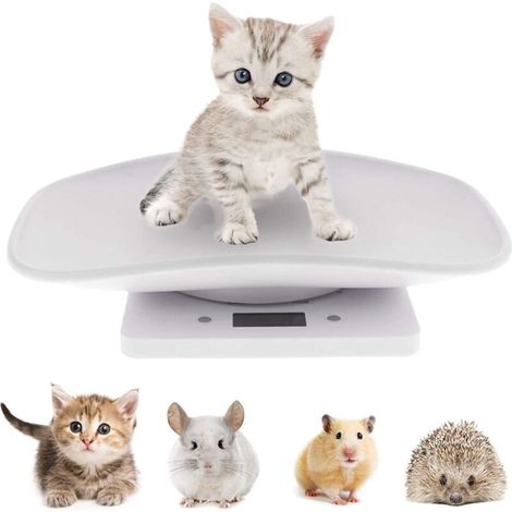 Balance Électronique pour Animaux de Compagnie, Petit Balance Numérique, 10kg/1g Écran LCD Balance Précision Mesure Outil Pesage pour Cuisine Chaton Chiots Tortue Hamster