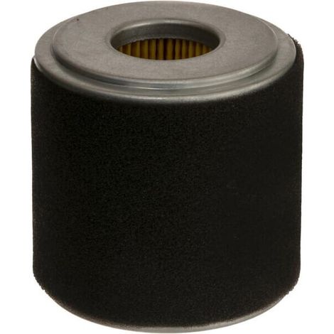 Filtro aria a ciclone HONDA 17210Z0V781 (1/2)
