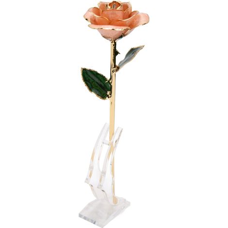 24-karätige Goldrose, vergoldete Blume mit Ständer, ideal für Valentinstag und Geburtstage, rosa Farbton (1/5)