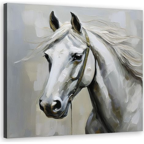Quadro su tela, Animali cavallo bianco - 30x30 (1/5)