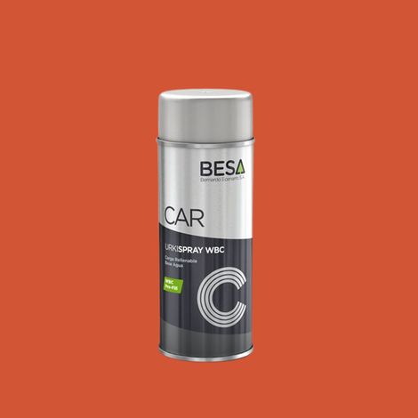 Bombe de Peinture RAL Effect 410-5  Brillant