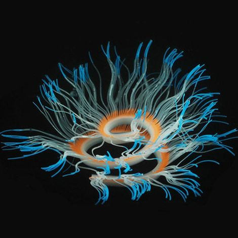 Anemone – Silikon-Aquariendekoration – Schwimmende künstliche Koralle für Aquarien – Ungiftig – 1 Stück (1/5)