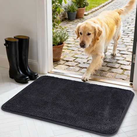Tapis d'Entrée Intérieur, pour Porte Paillasson, 40x60 cm Gris Foncé Super Absorbant et Antidérapant, Attrape-Salissures, Lavable en Machine, pour Entrée, Intérieur, Porte et Couloir (1/5)