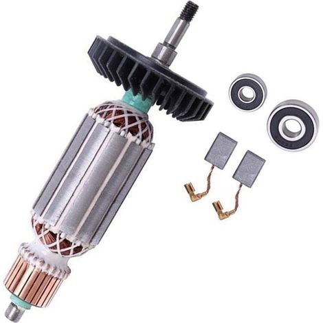 Ankerrotor-Verankerungsbaugruppe für AC220V 240V