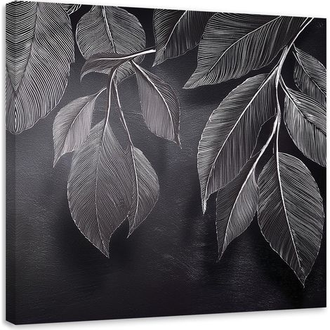 Tableau déco Minimalisme Feuilles Plantes Noir & Blanc 60x60 (1/5)