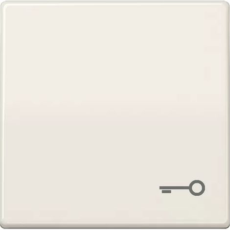 Jung Wippe Symbol TÜR ws für Taster AS 591 T (1/2)