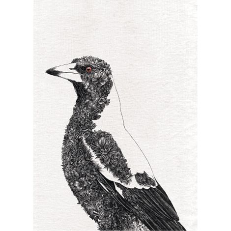 Maxwell & Williams Marini Ferlazzo Birds Paño de Cocina con Diseño de Urraca Australiana de 100% Algodón, 50 x 70 cm – Blanco