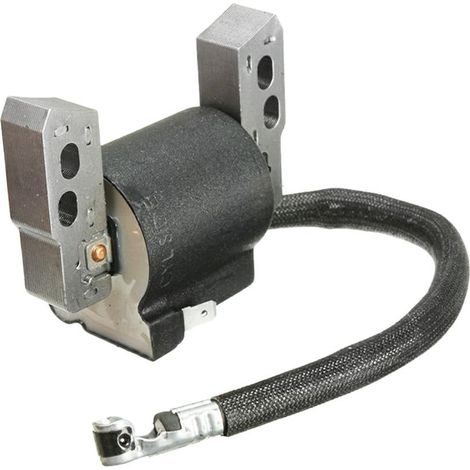 Brigg & Stratton Bobina elettronica Quantum Power e Intek modelli 11-12P (1/3)