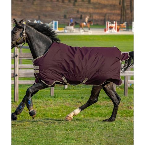 125 cm, Bordeaux: Pferdedecke Amigo Hero Ripstop 600 Denier wattiert 100g (1/2)