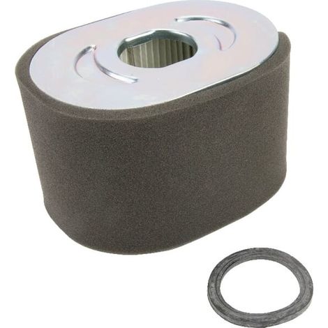 Filtre à air BRIGGS ET STRATTON 799818 (1/2)