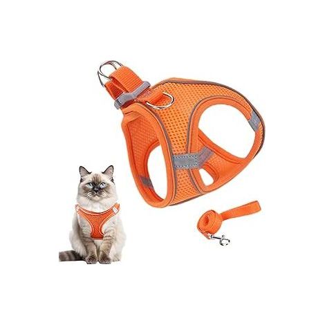 Ausbruchsicherer Brustgurt für Katzen, verstellbar für Spaziergänge und Outdoor-Aktivitäten – Haustierzubehör, Sicherheitsausrüstung für Outdoor-Abenteuer (1/5)