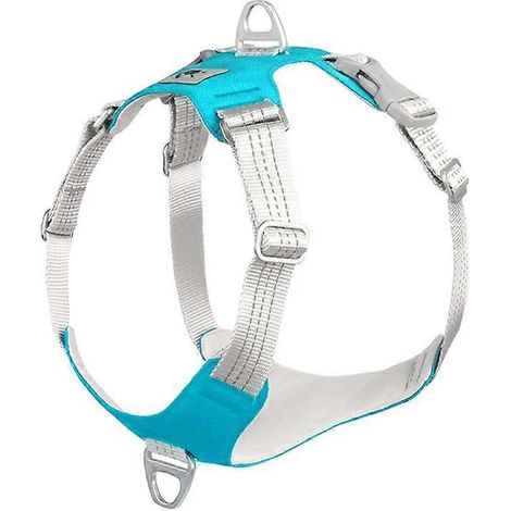 Harnais chien ajustable respirant bleu XL, collier réfléchissant, laisse sécurité, gilet mesh pour petit moyen chien chat.