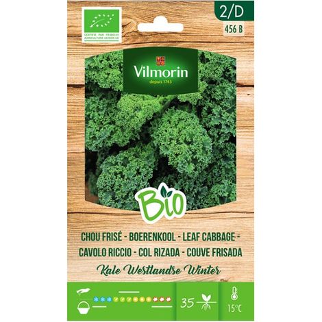 Vilmorin -Garten -Bio -Samen des gekochten (GrÐ©nkohl) Ð©ber 1 gr