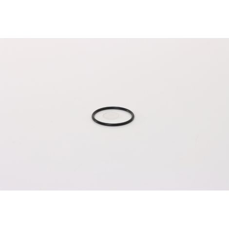 O-Ring (N° 38)