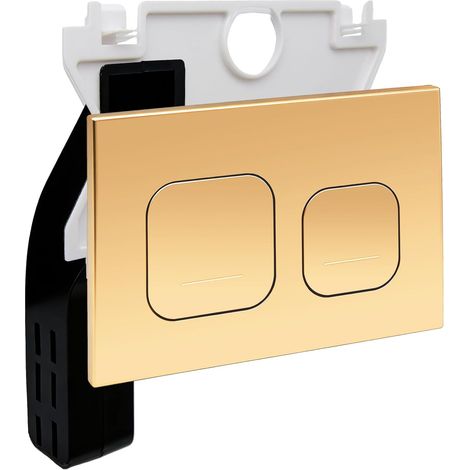 Matt Toilet Control Plate For Duofix Sigma/Delta Gold (1/5)