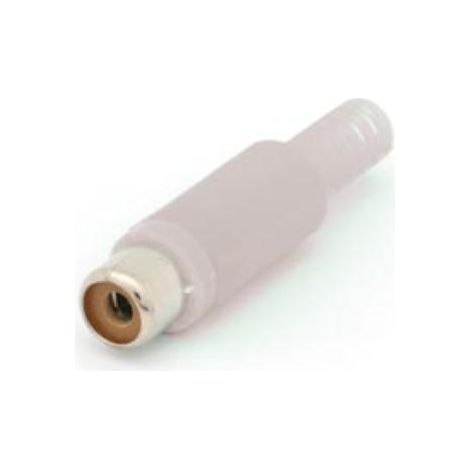 FICHE RCA FEMELLE - BLANC CA054W RI783