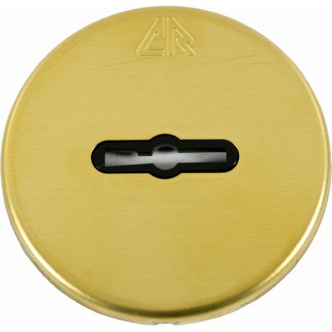 2PZ C.R. ART. 30 BOCCHETTE PER SERRATURE CON SUPPORTO+VITI CON FINITURA DORATA (1/2)