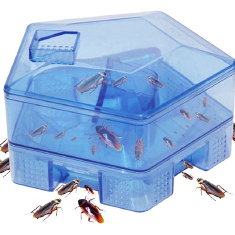 Piège à Cafards Réutilisable Non Toxique pour Cuisine et Maison - Boîte Attrape Insectes (1/5)