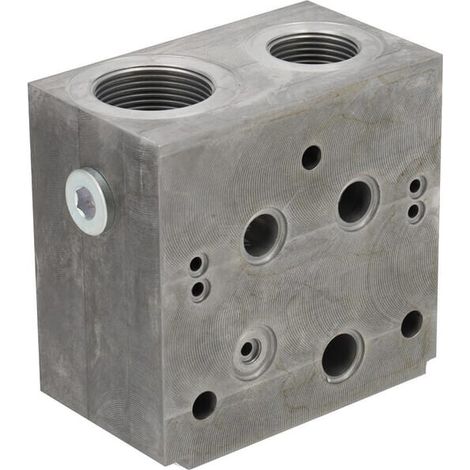 Mittlerer Einlass PVPM48 BSP DANFOSS PVG4811295307 (1/2)