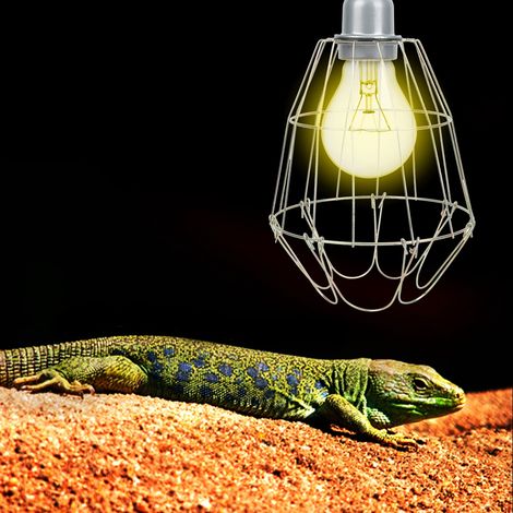 Lampe chauffante en métal pour reptiles et animaux de compagnie, abat-jour anti-brûlure avec filet de sécurité et douille. (1/5)