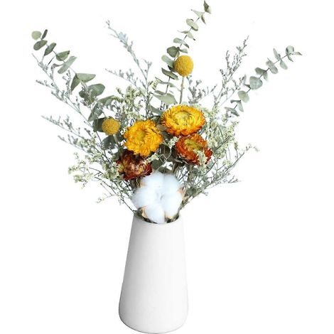 Tiges d'eucalyptus naturel, fleurs séchées décoratives, bouquets pour la décoration de mariage-Daisy