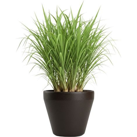 Pot de jardin Purea moka h34,9 x 39,5 cm (1/5)