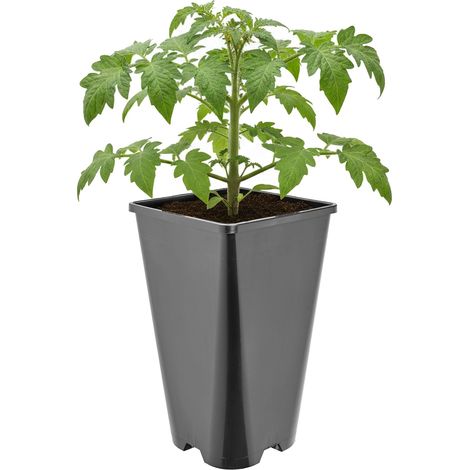 Garronda Pot de Fleur Carré Haut Plastique 13,5 × H 23 cm (3L) - Godet Semis Pot Culture Profond Drainage Résistant Intempéries pour Plantes Pépinière Jardin Serre Intérieur Extérieur GD-0201