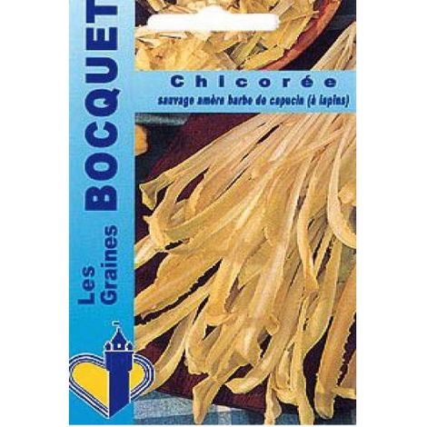 Chicorée à larges feuilles 'Barbe De Capucin' le sachet de 15000 graines environ (25g)