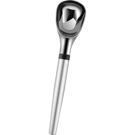 Cuillère à Glace Acier Inoxydable Robuste Dessert Ergonomique pour (1/5)