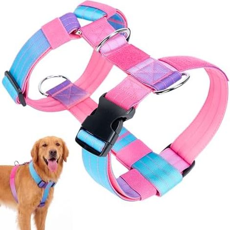 Harnais Chien Moyen/Grand, Anti-Traction, Reglable, Bride, Clip Avant, Animal, Compagnie, Confort