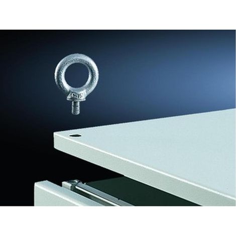 Augenschrauben Rittal 4568.000 M12 Gewinde 4er Pack (1/5)