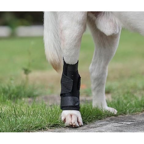 Ankle Bandage for Dogs, Anti-Licking Protection for Front and Back Paws, Elastic Bandage for Wound Healing and Sprains Support (1/5)