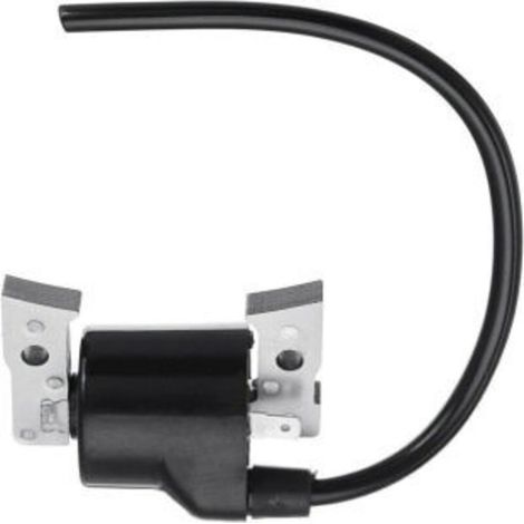 Bobine d'Allumage Haute Tension Compatible avec 21121-2069, FC540V, AM109258 (1/3)