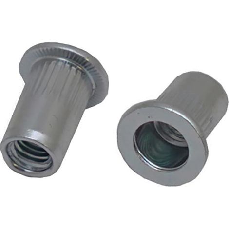 Rivet Acier Gris longueur 21.5mm diamètre 10.9mm M8 ( Prix pour Sachet de 50 )