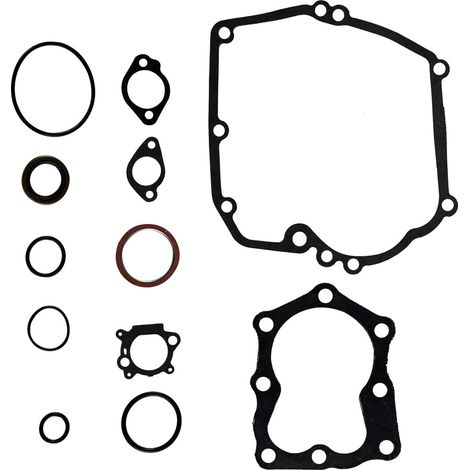 Briggs & Stratton Motordichtungssatz 496117 (ersetzt Teilenummer 493263) (1/5)