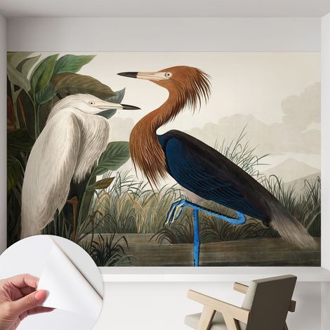 Carta da parati autoadesiva - impermeabile - murale da parete - decorazione murale - Uccelli tra le piante 152x104 cm (1/5)