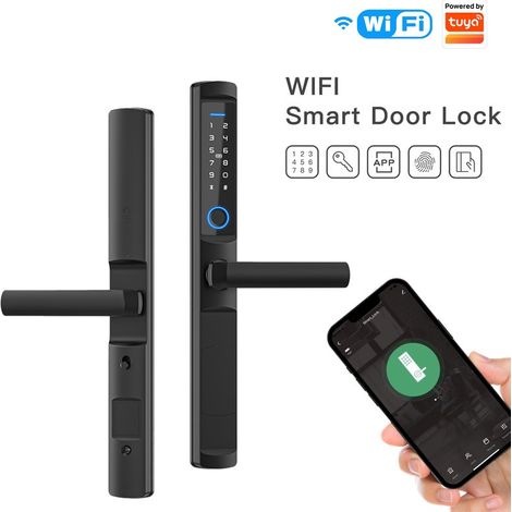 Tuya Serratura Biometrica Smart WiFi Impermeabile da Esterno (1/5)