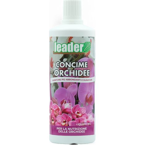 LEADER CONCIME ORCHIDEE