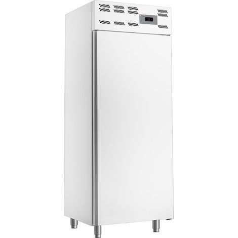 Armoire Congélation 500L 20x 600x 400 Stat. -12° à -22°C - Éco-responsable R290 - Diverso (1/2)