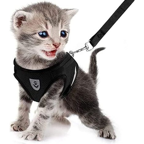Harnais Anti-Échappement - Harnais Traction Respirant en Maille pour Chat et Chien - Réglable S/M/L/XL - Noir (1/5)