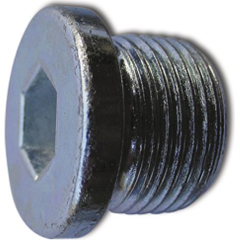 Verschlußschraube DIN 908 Bund/Innen-6kt M18x 1,5 Stahl 25 Stück (1/4)
