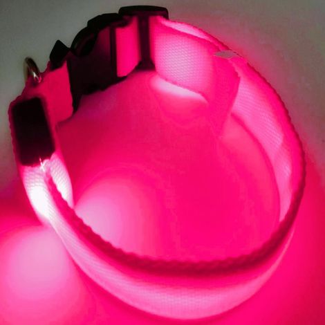 Collier Lumineux Pour Chien - Rechargeable USB - Étanche IPX4 - TPU + Nylon Réfléchissant - Convient Chiens Petits et Chats - 24 à 35 cm (1/5)