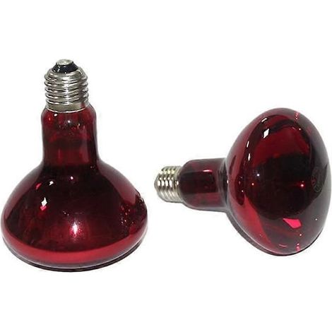 Lot de 2 lampes chauffantes infrarouges de 100 W pour reptiles, et plus encore. (1/5)