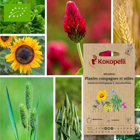 Mélange Plantes compagnes et utiles- Graines bio à semer (1/2)