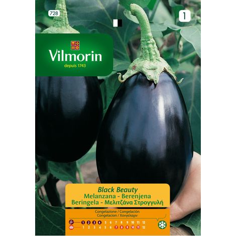 VILMORIN Semillas de BERENJENA BLACK BEAUTY S-1, 3 gr