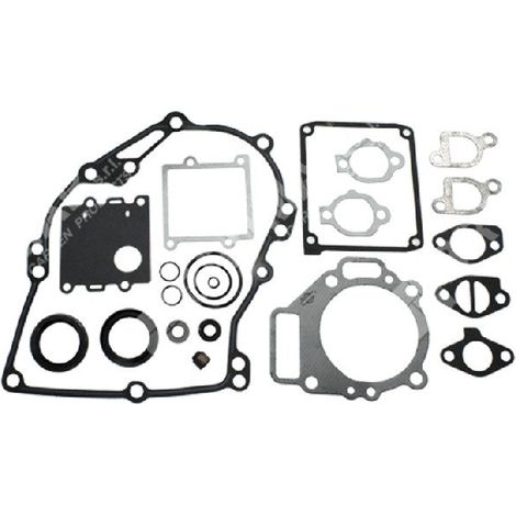 Dichtungsserie für BRIGGS & STRATTON-Motoren 495260 (ex 261777 - 492271) - 026240