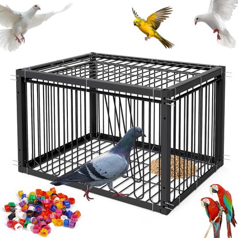 Cage de piégeage pour pigeons et oiseaux - 43x33x26cm, dispositif de capture automatique pour volière et élevage (1/5)