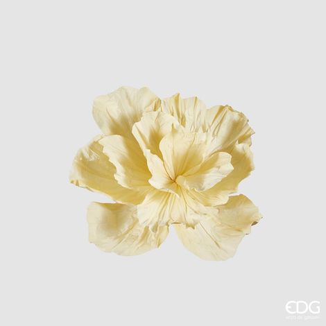 EDG Peonia Jumbo Da Appendere Giallo Chiaro H 60 cm (1/4)